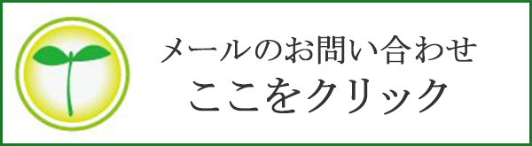 メールのお問い合せ ここをクリック